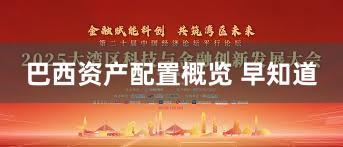 巴西资产配置概览 早知道